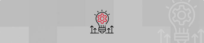 Customization Capabilities